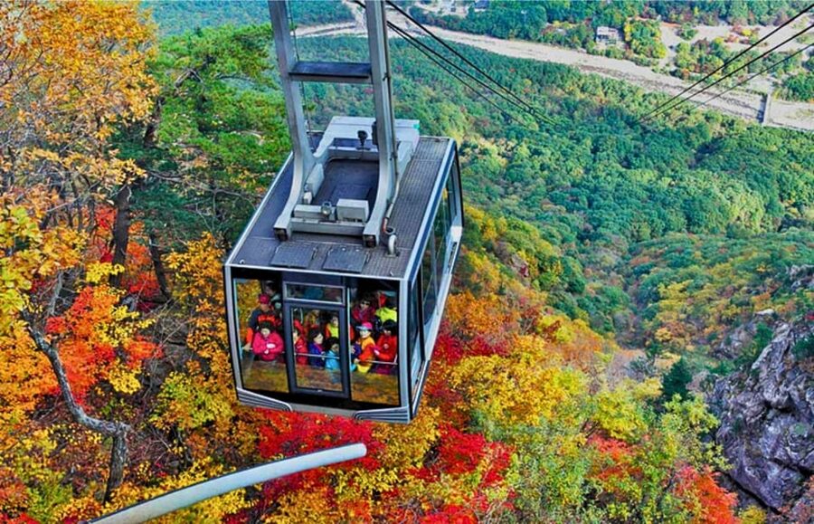 From Seoul: Seoraksan Mountain with Cable Car- Shuttle Bus - Key highlights that make this tour worth it