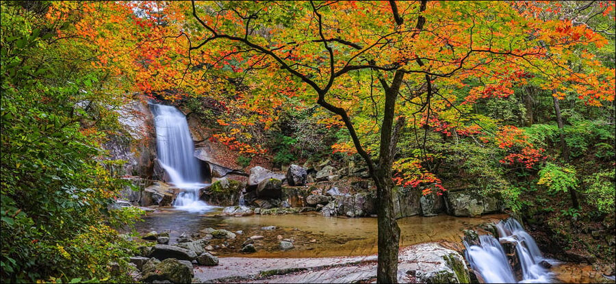 From Seoul: Seoraksan Mountain with Cable Car- Shuttle Bus - Seoraksan autumn: big mountain views with a guided anchor