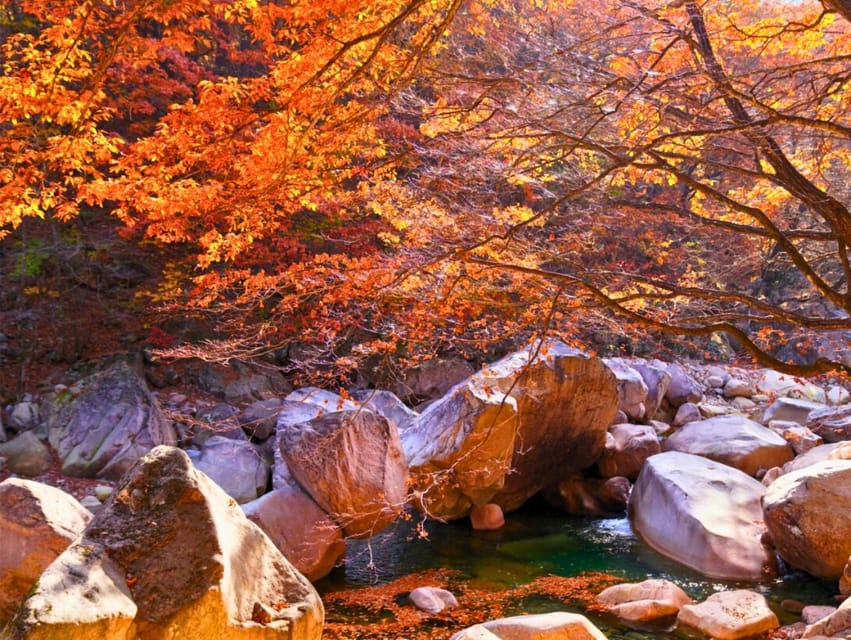 From Seoul: Seoraksan Mountain with Cable Car- Shuttle Bus - Price and value: is $67 fair for what you get?