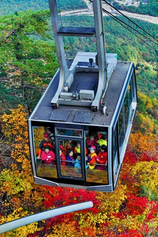 From Seoul: Seoraksan Mountain with Cable Car- Shuttle Bus - Who this tour fits best (and who should think twice)