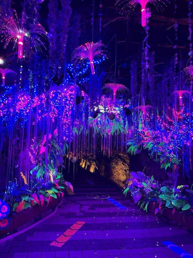 From Seoul: Starfield Library, Hwaseong, Gwangmyeong Cave - Wine Cave, Cave Aqua World, and the Dragon Sculpture: Why These Stops Matter
