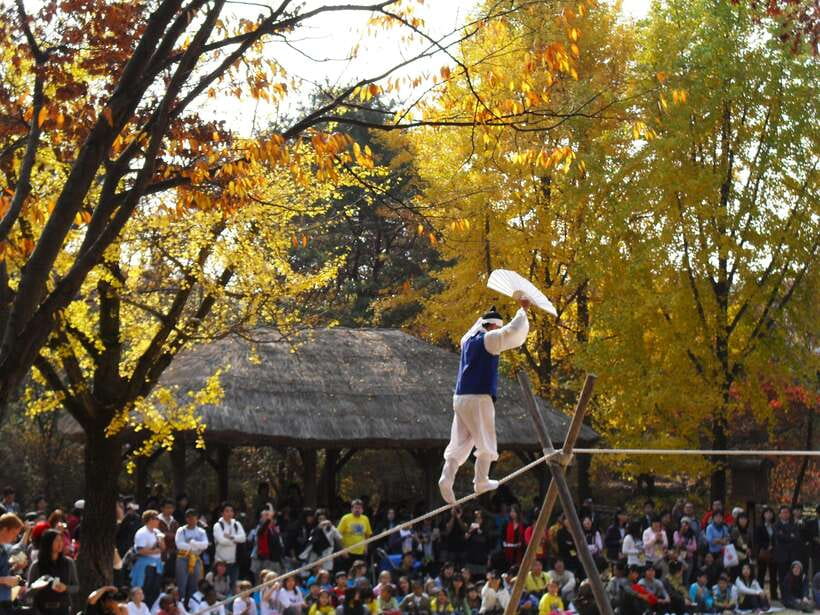 From Seoul: Suwon Hwaseong Fortress Tour - Lunch timing and performance seasonality: plan for variability