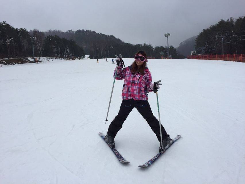 From Seoul: Yongpyong Ski Day Tour with Transportation - The three tour options: Basic lesson, Full tour, or Shuttle Only