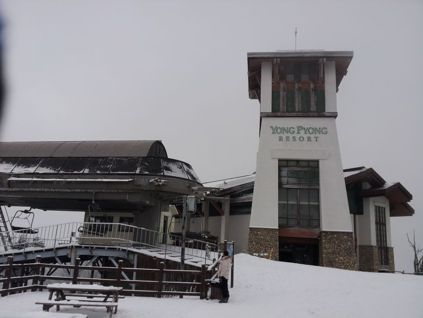 From Seoul: Yongpyong Ski Day Tour with Transportation - From Seoul in 2.5 hours: transportation that keeps the day sane