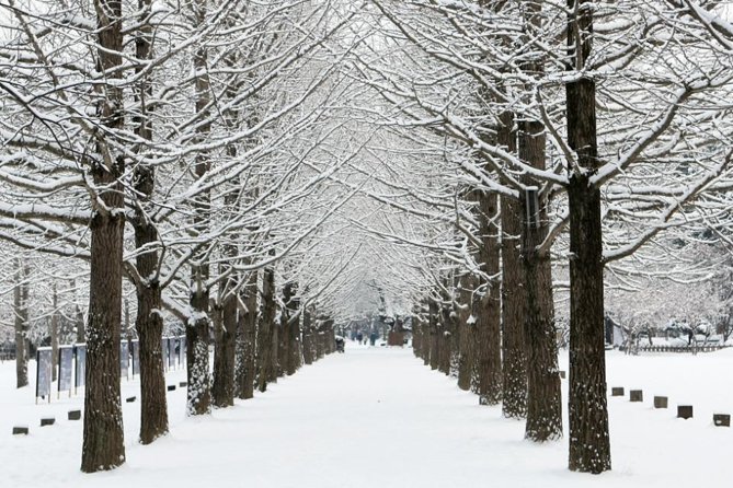 Full-Day Customizable Private Tour to Nami Island and surrounding Area - Nami Island: Winter Sonata Film-Spot Energy and Tree-Lined Walks