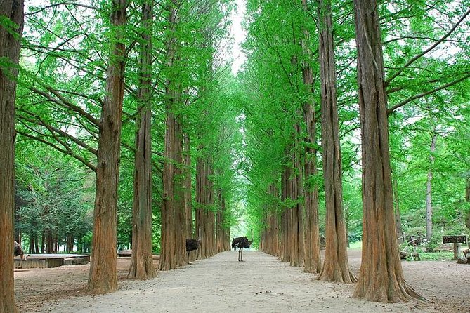 Full-Day Customizable Private Tour to Nami Island and surrounding Area - Gangchon Rail Park and Rail Bike: The Activity That Breaks Up the Walking
