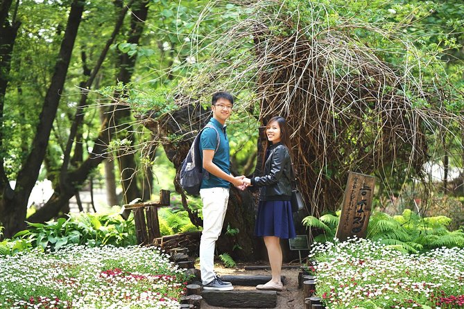 Full-Day Customizable Private Tour to Nami Island and surrounding Area - Soyang River Sky Walk: A Short, Striking Bridge Moment (Usually Free)
