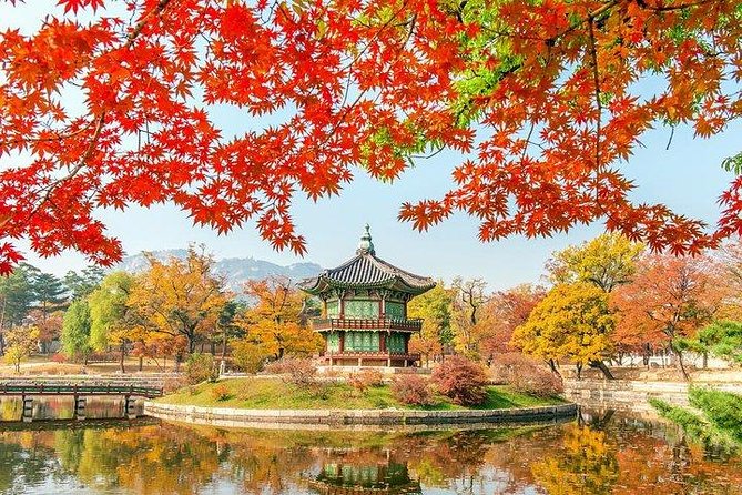 Full Day Private Seoul Tour for foodies - Everland and Lotte World: Two Big Theme Parks in One Day