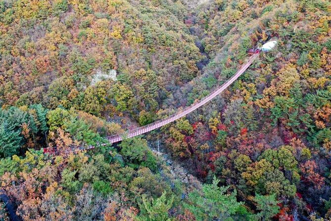 Full Day Private Tour DMZ (The 3rd Tunnel) & Suspension Bridge - Who should book this tour (and who might want a different style)
