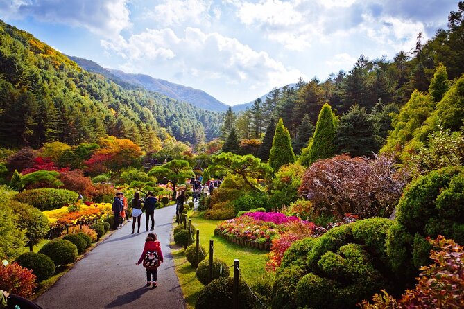 Full Day Private Tour Nami Island, Garden & Petite France - Pinocchio and Da Vinci (Italian Village): The Last Big Photo Block