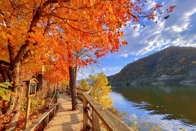 Full Day Private Tour Nami Island, Garden & Petite France - Lunch and Timing: Included, But Watch the Details