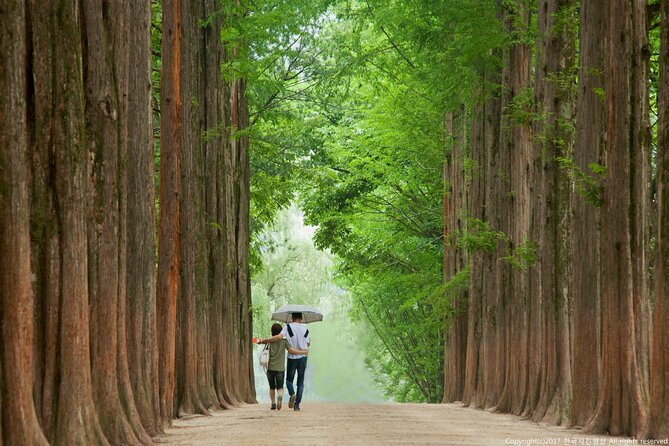 Full Day Private Tour Nami Island, Garden & Petite France - Guides Make the Difference: The Real Human Touch