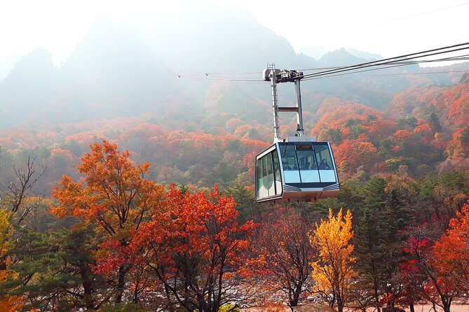 Full-Day Tour in Mt. Seorak & Nami (+Rail Bike Option) - A long day out of Seoul: what 14–16 hours really means
