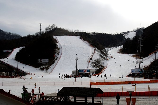 Gangchon Elysian Ski Day Trip from Seoul - Comfort vs. control: who this trip suits best