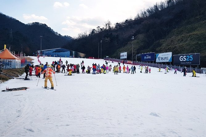 Gangchon Elysian Ski Day Trip from Seoul - Stop 1: Seoul pickup and your ride out—what to expect on the bus