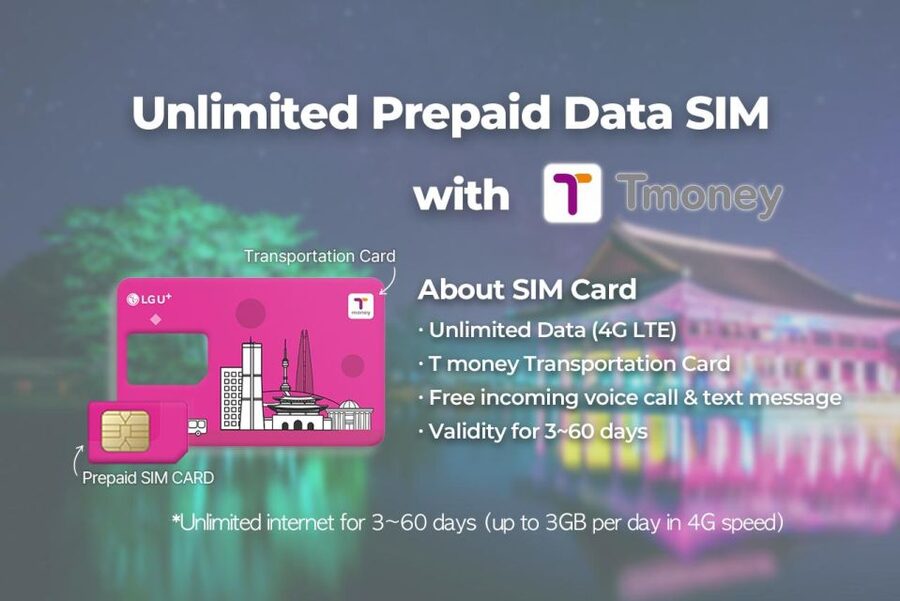 Gimpo Airport: Traveler SIM and T-money Transportation Card - Why a Gimpo Airport SIM plus T-money makes your first day easier