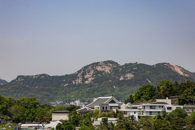Gwanghwamun Tour l 120 minutes to Understand Local Korean Society - Finishing in Front of the Blue House: A Powerful Place to End
