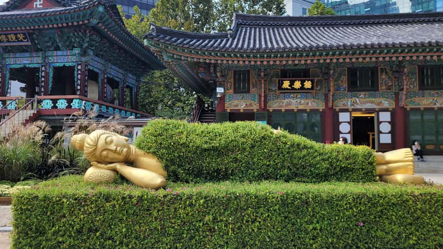 Gyeongbokgung Palace, Jogyesa Temple and Bukchon village - The Guide Experience: Why Lee’s Style Often Makes the Day