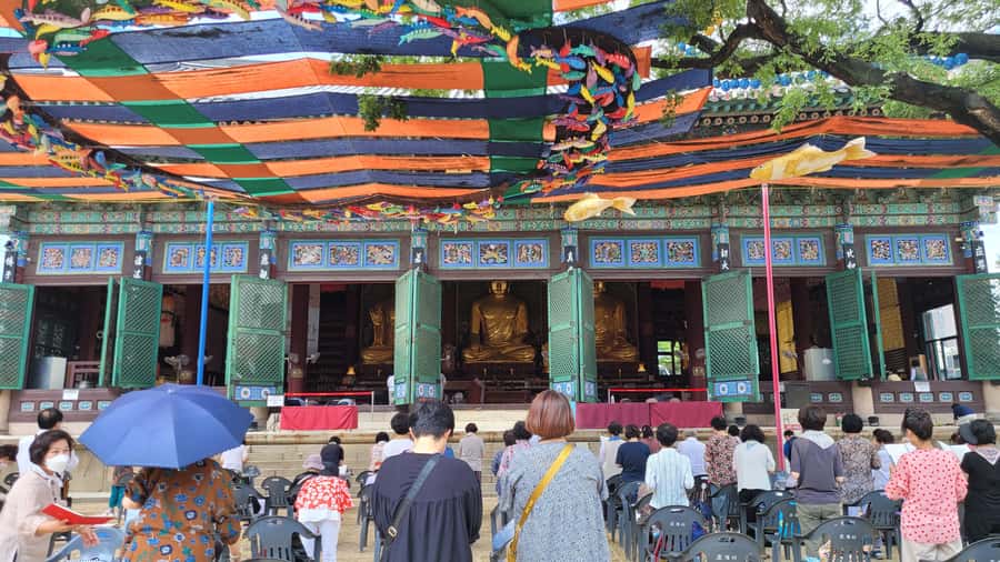 Gyeongbokgung Palace, Jogyesa Temple and Bukchon village - Timing, Walking Comfort, and What to Bring