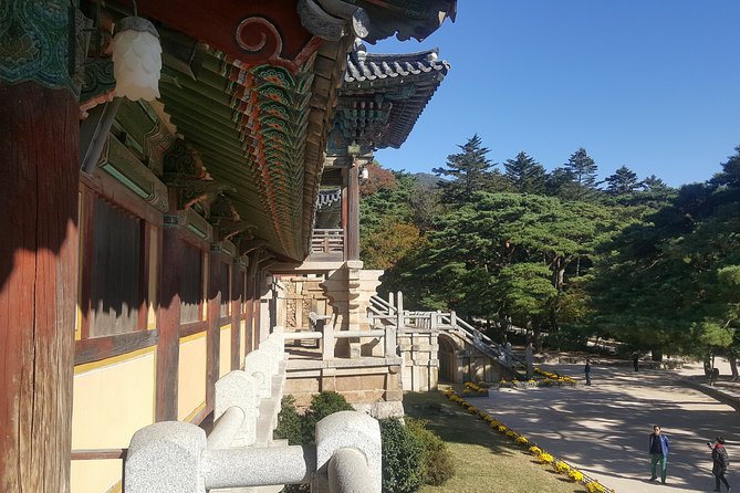 Gyeongju UNESCO Sites Tour by KTX train; The Museum Without walls - Gyeongju National Museum: the context stop that saves your brain