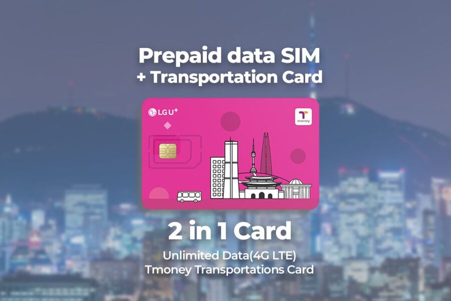 Incheon Airport: Traveler SIM & T-money Transportation Card - Key things to know before you go