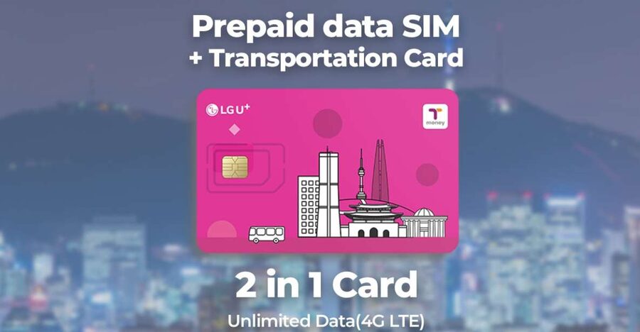 Incheon Airport: Traveler SIM & T-money Transportation Card - Incheon Airport SIM and T-money: the real reason this saves time