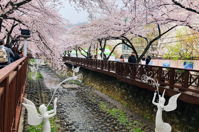 Jinhae Cherry Blossom + Busan Sunrise from Seoul - Overnight Timing: The Real Schedule Feel (Starts at Night, Returns Next Day)