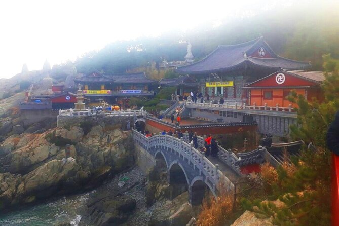 Jinhae Cherry Blossom + Busan Sunrise from Seoul - Morning Glow at Haedong Yonggungsa: Sunrise by the Sea