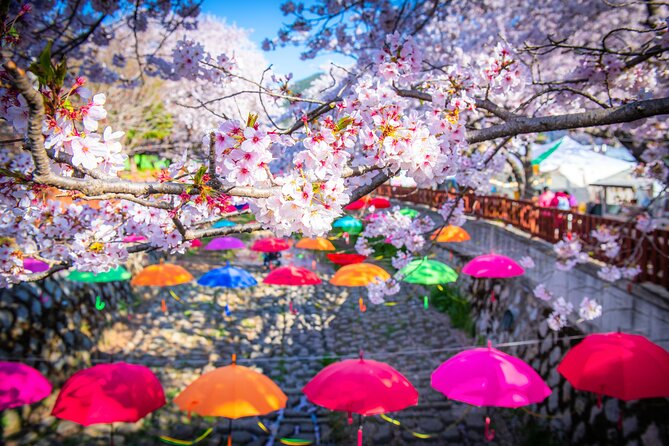 Jinhae Cherry Blossom Festival Gyeonghwa Stn Day Tour from Seoul - Seoul to Jinhae by tour van: the long day you should plan for