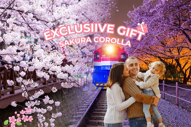 Jinhae's Cherry Blossoms Shuttle Bus depart from Seoul/Busan - The main 6 hours in Jinhae: Town Naval Port, Yusawa River Bridge, Kyohe Station