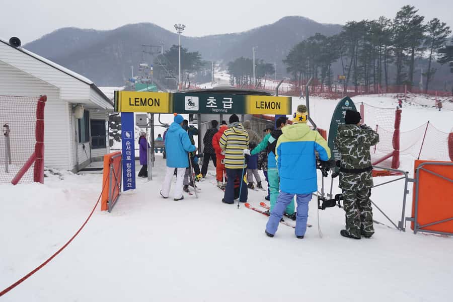 Jisan Forest Resort: Ski Full-Day Tour or Shuttle from Seoul - Skiing at Jisan Forest Without the Seoul-to-Resort Grind
