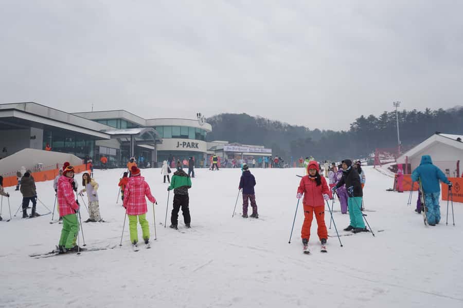 Jisan Forest Resort: Ski Full-Day Tour or Shuttle from Seoul - Choose Your Mode: Basic Lesson, Full Package, or Shuttle Day