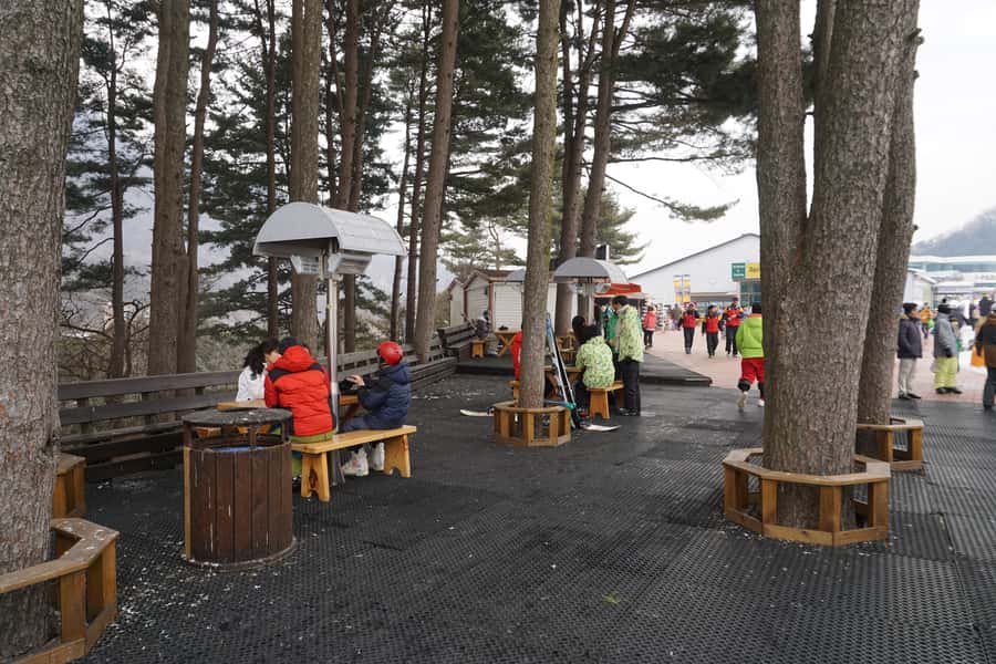 Jisan Forest Resort: Ski Full-Day Tour or Shuttle from Seoul - Price and Value: What $40 Really Buys You