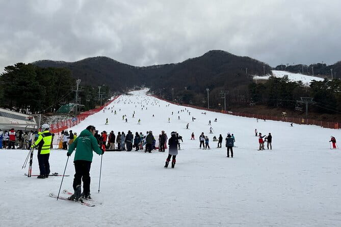 Jisan Forest Ski Resort and Everland 1 Day Tour - Choosing Your Ski or Snowboard Option Without Getting Burned
