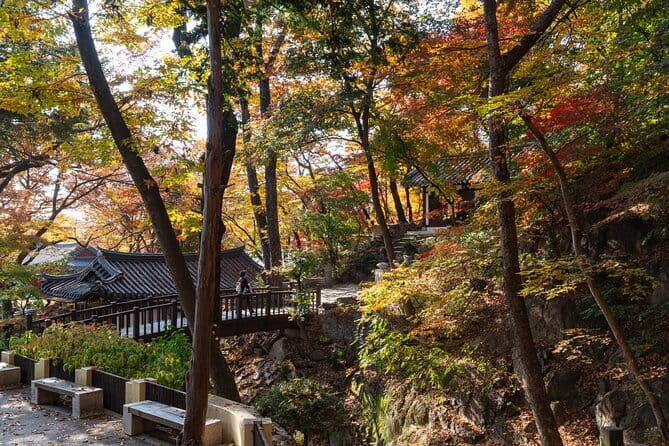 Jisan Forest Ski Resort and Everland 1 Day Tour - Everland for 5 Hours: ZooTopia, Pandas, T-Express, Lost Valley