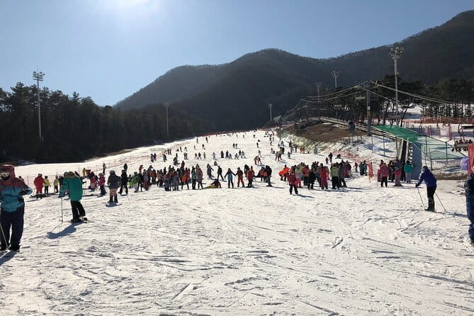 Jisan Forest Ski Resort and Everland 1 Day Tour - Getting to Jisan From Seoul: Timing That Matters