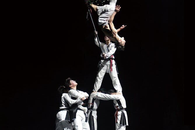 K-Kick Taekwondo Show Ticket at Seoul - Key things to know before you go