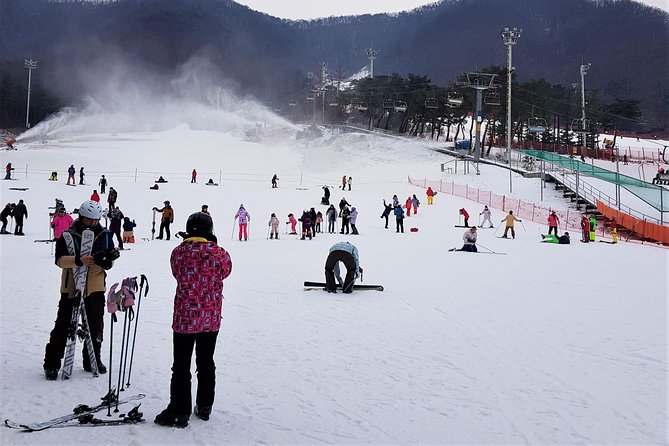 Korea Ski Tour from Seoul - Jisan Resort with Isaac Toast - The Ride Out of Seoul: What a 1.5-Hour Transfer Means