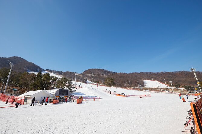 Korea Ski Tour from Seoul - Jisan Resort with Isaac Toast - Skiing vs Sledding: How to Think About Your Day