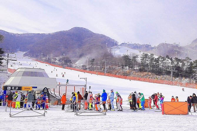 Korea Ski Tour from Seoul - Jisan Resort with Isaac Toast - Guide Quality and English Communication