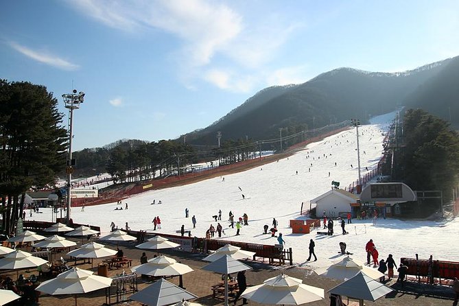 Korea Ski Tour from Seoul - Jisan Resort with Isaac Toast - Price, What You Get, and What Costs Extra