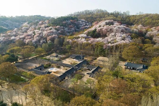 Korean Folk Village Afternoon Half day Tour - Where people can feel the pinch: time, shopping stops, and pacing