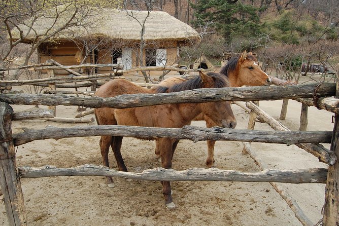 Korean Folk Village Afternoon Tour from Seoul - Performance schedule and pacing: how to handle the timed visit
