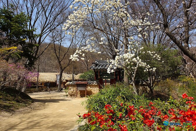 Korean Folk Village Half-day Guided Tour from Seoul - Guides Who Know How to Explain the Village