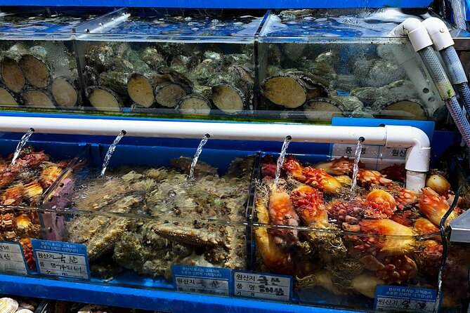 Korean Market Adventure with Chef Yie - Noryangjin Fish market - The in-market meal: what you can expect to eat