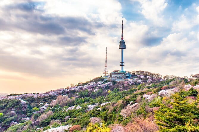 Lee’s Private 4-hour Customized Seoul Tour - Traditional markets: your best use of the 30–60 minute window