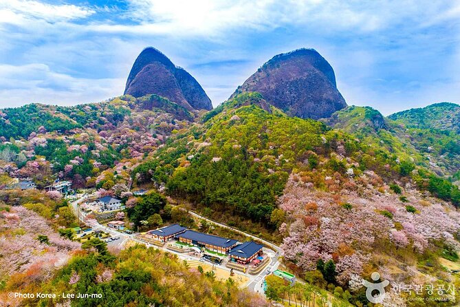Maisan Cherry Blossom and Jeonju Hanok Village - Key things to know before you go