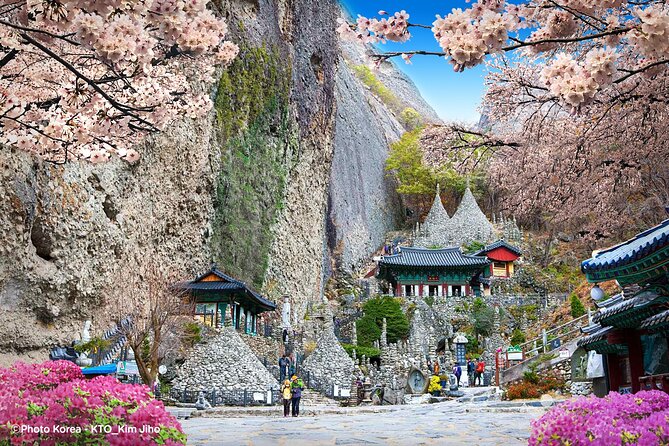 Maisan Cherry Blossom and Jeonju Hanok Village - The itinerary rhythm: where the day’s time actually goes