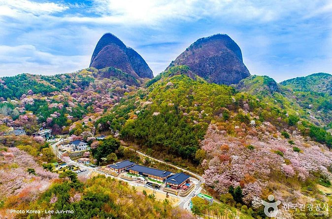 Maisan Cherry Blossom and Jeonju Hanok Village - Comfort tips that make this day trip easier