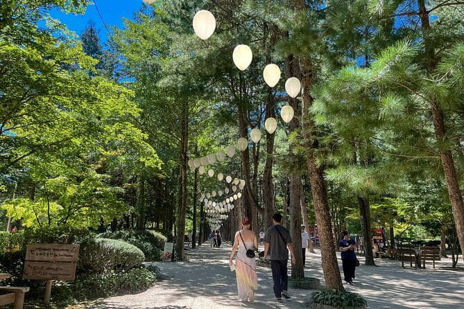 Max Out Seoul: Must Visit City Highlights Panoramic Day Tour - Gwanghwamun Square and Gwanghwamun Gate: The Centerline of Seoul’s Sights